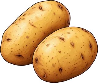 potato — ziemniak