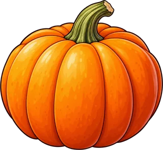 pumpkin — dynia