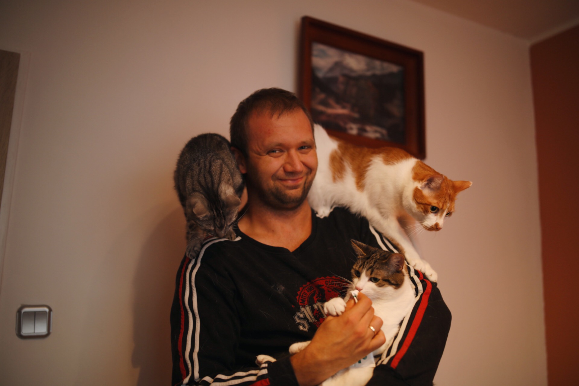 Mateusz Będkowski z trzema kotami na ramionach